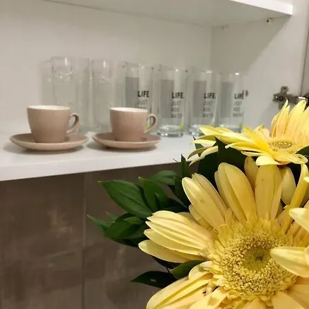 Lovely 1-bedroom With Available Parking 公寓 克拉列沃