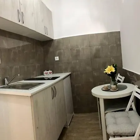 Lovely 1-bedroom With Available Parking * Kraljevo