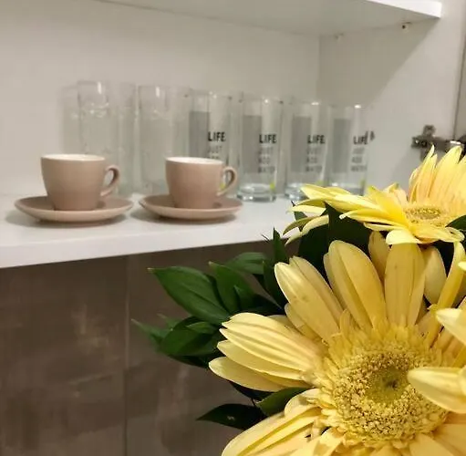 Lovely 1-bedroom With Available Parking Apartmán Kraljevo