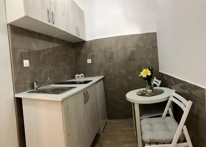 Lovely 1-bedroom With Available Parking * Kraljevo